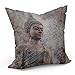 Housse de Coussin Taie Bouddha Debout en Pierre Style Thailande (40x40 cm)