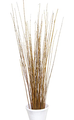 Green Floral Craft | Dried Asian Willow Decorative Branches - Perfect Home Decoration And Floor Vase Filler (4-5 Feet, Natural) #TOP2