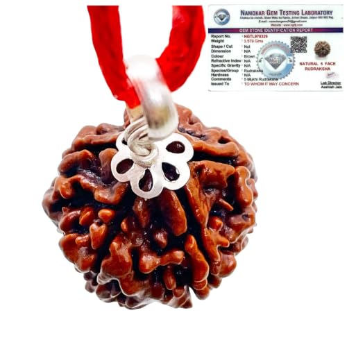 Image of Siddha 5 / Five Mukhi Pure Rudraksha, Laboratory Certified.