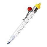 Abaodam Thermomètre Stérilisateur Bocaux Conserves en Verre Trempé et Acier Inoxydable, Th...