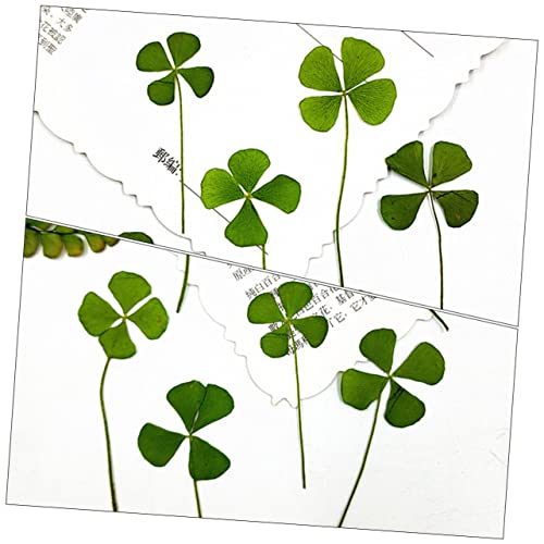 UKCOCO 24pcs Trebol de Cuatro Hojas Seco Natural para Artesanía DIY miniatura 7