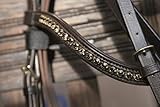 hans melzer trense hannoveranisch  Hans Melzer Horse Equipment Trense Hannover, braun/messing, Warmblut
