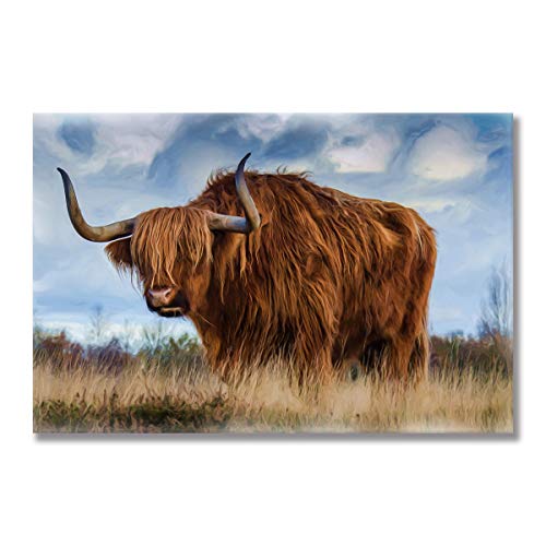 Affiche Vache des Highlands pour décoration murale salon rustique chic