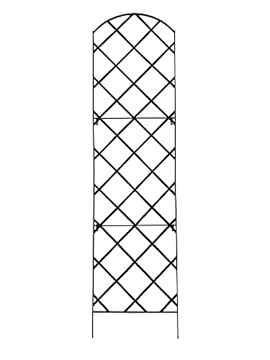 Tall metal garden trellis that will transform your outdoor space 2 tall metal garden trellis