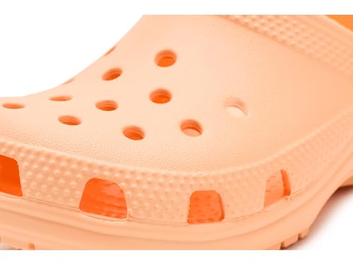 Image of Crocs Kid's Classic Clog (Little Kid /Big Kid /Toddler)