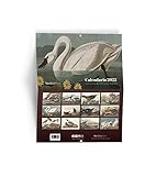  Calendario aves de América (CALENDARIOS)