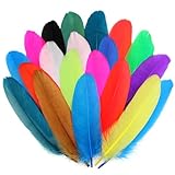 PMYUMAO 300pcs Colorful Goose Feathers Natural Bulk, 5-7inch Bulk Natural Feathers for DIY Crafts Dream Catchers, Angel Wings and Wedding Party Christmas Home Decoration.(Colorful)
