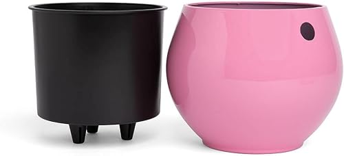 Miniatura 2 de rePotme Maceta de riego automático de 6 pulgadas para plantas de interior, violetas africanas, suculentas, colección Aqua Core (rosa rubor)