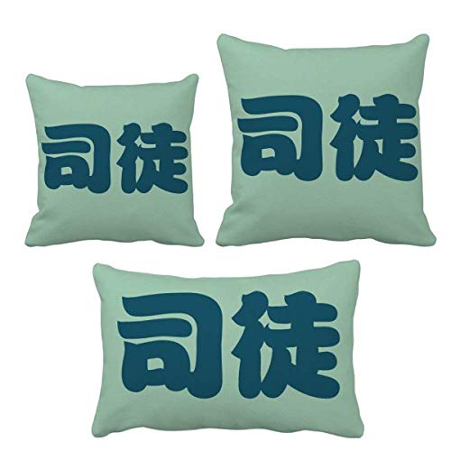 Coussin chinois avec insert inclus une idee de don originale pour le canape - 2
