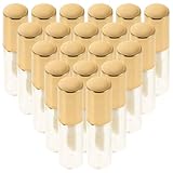 ELAYARD 20 Piezas Tubos Vacíos Brillo Labios Recargables con Varita Dorado para DIY Bálsamo Labial Viaje Transparente Plástico