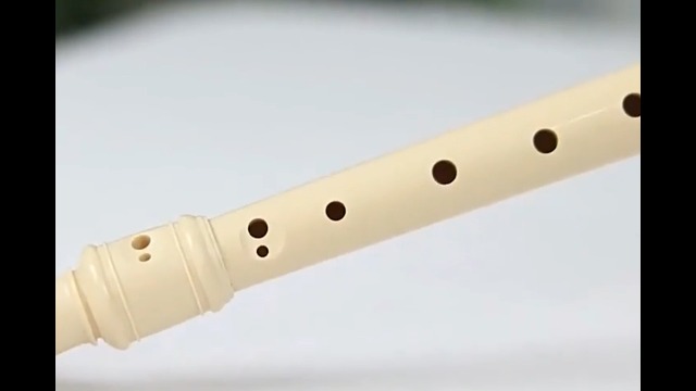 Flauto Dolce Soprano Per Principianti - In Plastica ABS, Diteggiatura Tedesca | Con Asta Di Pulizia E Borsa | Per Bambini E Adulti - Foto 5