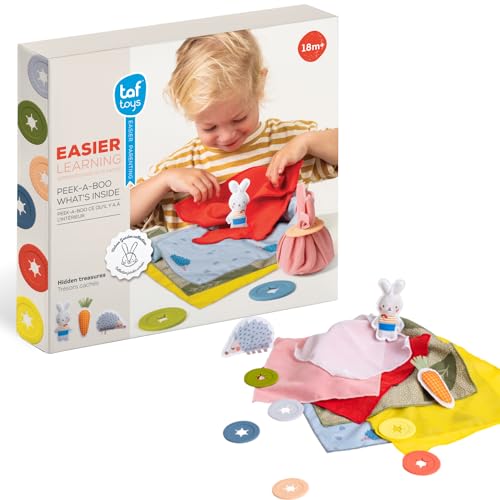 Jeu d'éveil Cache-Cache premier âge jouet éducatif motricité fine bébé Taf Toys