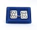 Star of David Tallit Clips