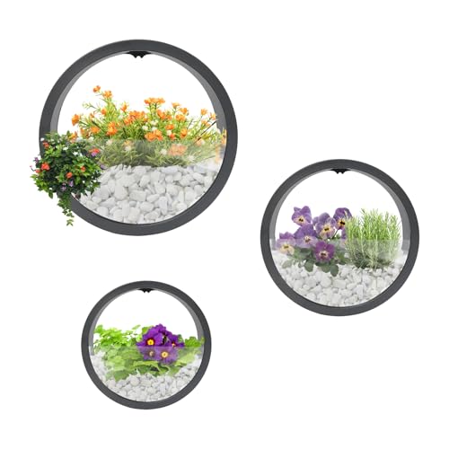 DHQCQL Vaso suspenso, vasos de parede modernos, 3 unidades vasos suspensos para parede, vaso redondo, montagem na parede para plantas de interior, plantas artificiais, flores (preto