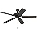 Progess AirPro Ceiling Fan Forged Black - P2502-80