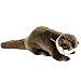 Produktbild Teddys Rothenburg Kuscheltier Otterbaby, 24 cm, braun, Plüschotter Uni-Toys