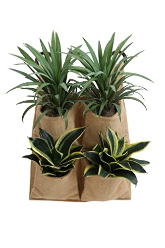 Babson Best Bags Eco Friendly (Pack of 1) Hanging Bags,Planting Green Grow Planter Fabric Jute Pocket-4 Brown Bag Pocket Planter, Plant Pot, Planting Bags Pocket Planter Hanging Planting Bags,