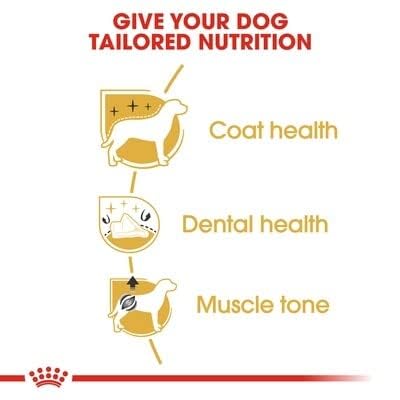 Royal Canin Pudel 1,5 kg