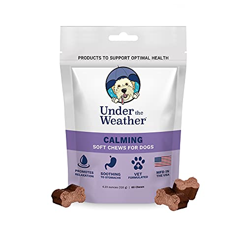 Spectacular Under The Weather Dog Food Artwork Art Spectacular Under The Weather Dog Food Artwork Art
