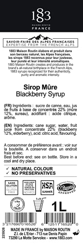 1883 Maison Routin Premium Blackberry Syrup Perfect for Coffees, Cocktails, Mocktails & Smoothies - Vegan-Friendly, Allergen-Free, No Preservatives - 1L Glass Bottle - Image 2