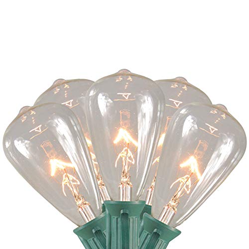 Cadena de luces Edison Northlight 10 unidades 9 pies