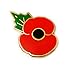 England Pin's avec motif coquelicot pour le jour du Souvenir