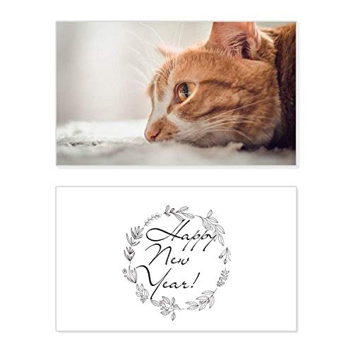 Fotografía de gato en tarjeta conmemorativa de bendición New Year para felicitaciones festivas