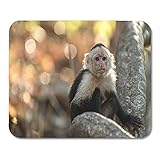 【Langlebige genähte Kanten】 Diese mouse pad hat empfindliche Kanten, die Verschleiß verhindern können. Stellen Sie eine längere Verwendung sicher, ohne sich zu verformen und zu entschleimen. Einseitiger Druck.