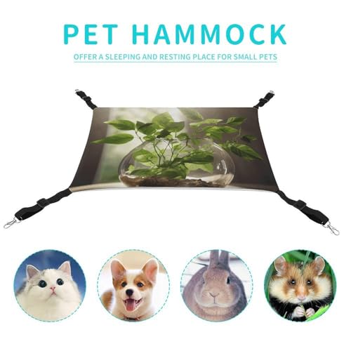 Hamac pour chat suspendre pour en finir avec l'encombrement au sol