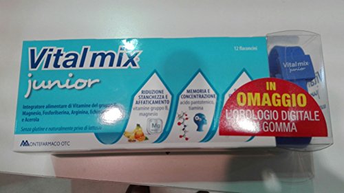VITALMIX JUNIOR 12FL