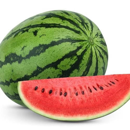 Tim's very weird dream, and all he wants is his watermelon