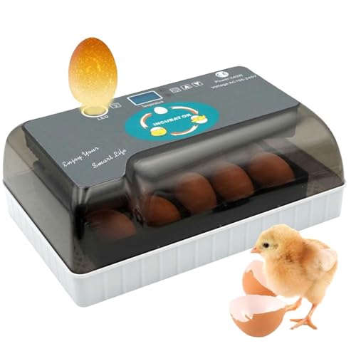 Incubadora Portátil De 12 Huevos Con Control Automático De Giros Y Temperancia.Bajo Ruido, Construcción De ABS Seguro, Llenado De Agua Externa Para Una Alta Tasa De Éxito De La Escotilla.Ideal Para El