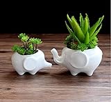 Ceramic Elephant Succulent Flower Pot / Planter (2 Elephants)