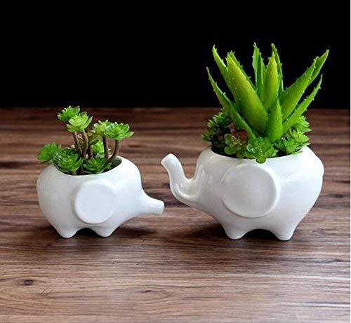 Ceramic Elephant Succulent Flower Pot/Planter Mother Child Elephants