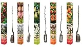 set di alberi da frutto 85 – 93 cm per giardino, mela jonagold, pera conference, ciliegia ombra morelle, prugna, opale, pesca redhaven (5, set da 5 (mela, pera, ciliegia, prugna, pesca)