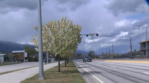 Episode 107 Trees along Highway 93 through Victor, signs of community, history of volunteers