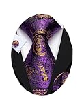 Barry.Wang Mardi Gras Paisley Tie Sets Fashion Set Handkerchief Cufflinks Neckties for Men Woven Silk Party