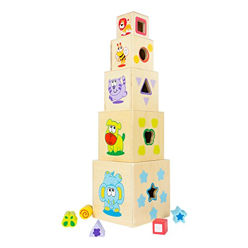 WOOMAX Juguete, 10 Cubos (Colorbaby 43609)