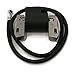 The ROP Shop Ignition Coil for Briggs & Stratton fits 243452, 243457, 250412, 250417, 252411