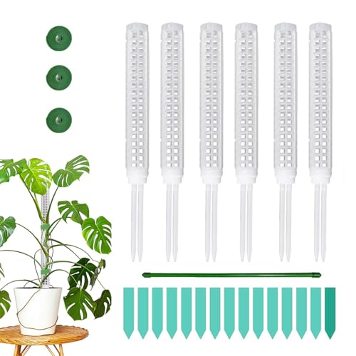 Generisch Varilla de musgo para plantas, 6 piezas apilables, pequeña barra de musgo, para plantas trepadoras de interior, hogar, jardín exterior y plantador