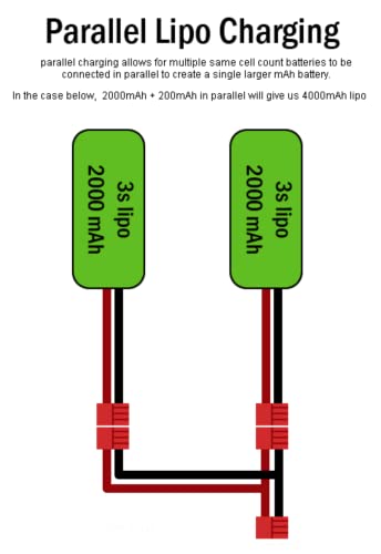 Original Premium XT60 Goldstecker Adapter Lipo Akku Parallel Y-Kabel Splitter Buchse auf 2 Stecker Male Female Adapterkabel 10cm 12AWG Kabel 60A für Modellbau