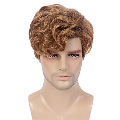 STfantasy Men Short Wigs Male Guy Layered Wavy Fluffy Halloween Cosplay Party Brown