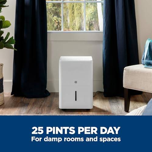 Commercial Dehumidifier with Pump