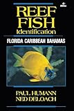Reef Fish Identification - Florida Caribbean Bahamas - 4th Edition (Reef Set)
