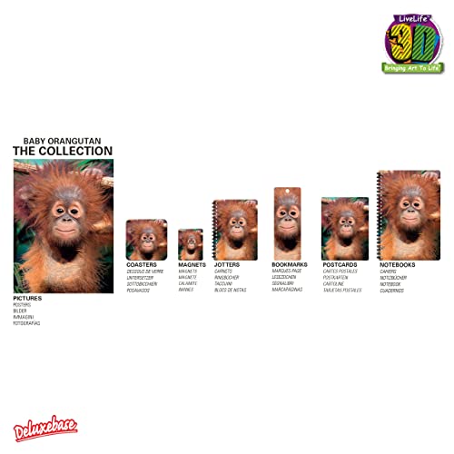 Magnet - Baby Orangutan from Deluxebase. Lenticular 3D Monkey Fridge Magnet. Magnetic Decor for Kids and Adults with Artwork Licensed from Renowned Artist, David Penfound