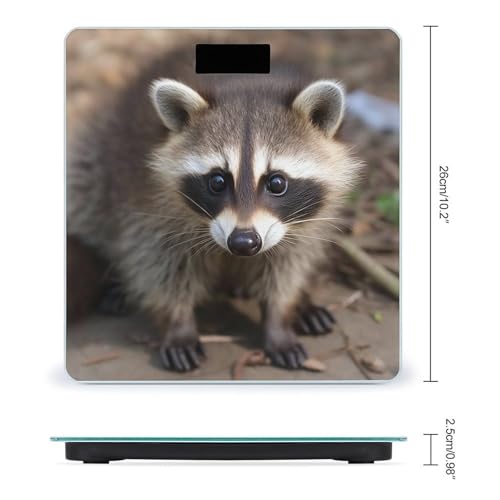 Báscula Digital de Vidrio Templado Cub Raccoon miniatura 2