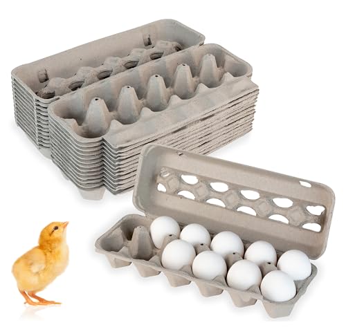 Stock Your Home Egg Cartons with Display Windows, 15-Pack, Eco-Friendly