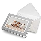 Personnalisez votre personnalité avec un photographe de haute qualité.