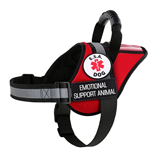 Emotional Support Animal Harness | ESA Dog Vest | K9 Harness with ID Pocket and Handle, Patches Included +10 ADA Law Cards | All Access Canine (X-Large) Red