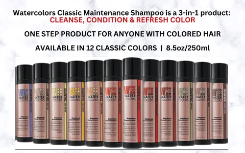 Color Maintenance Shampoo Crimson Splash 8.5 Pack Of 2 #TOP3